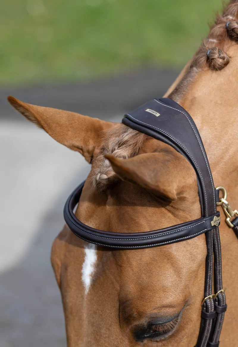 LeMieux Kudos Work Bridle in Brown -1
